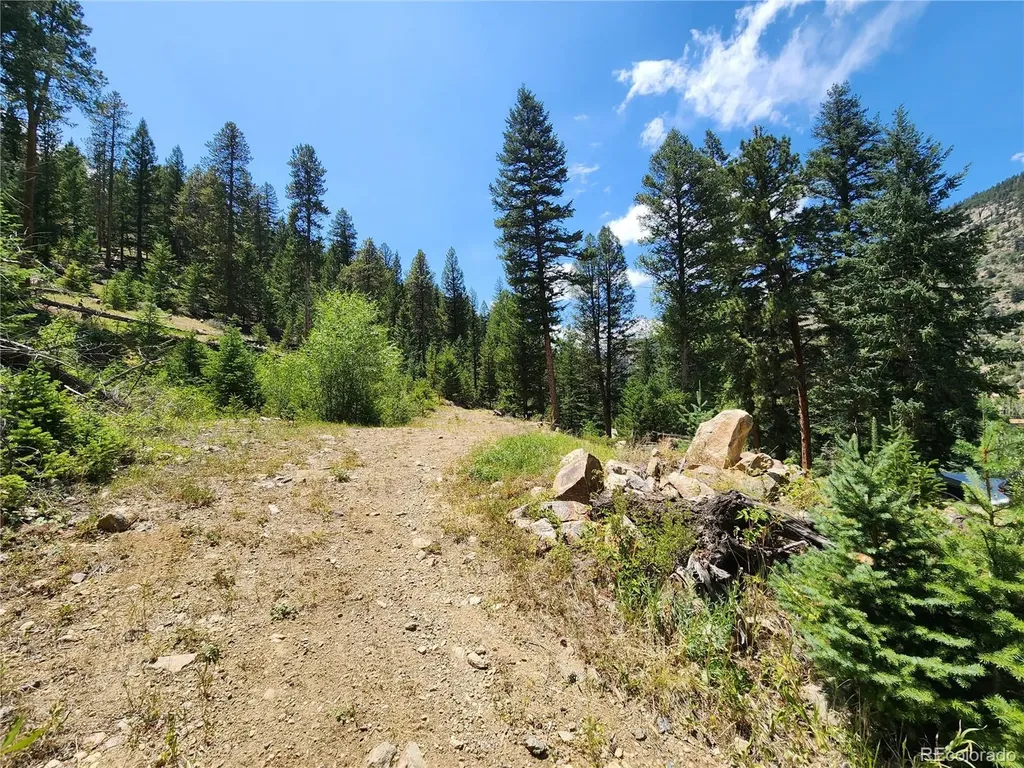256 Capital Road Dumont CO 80436