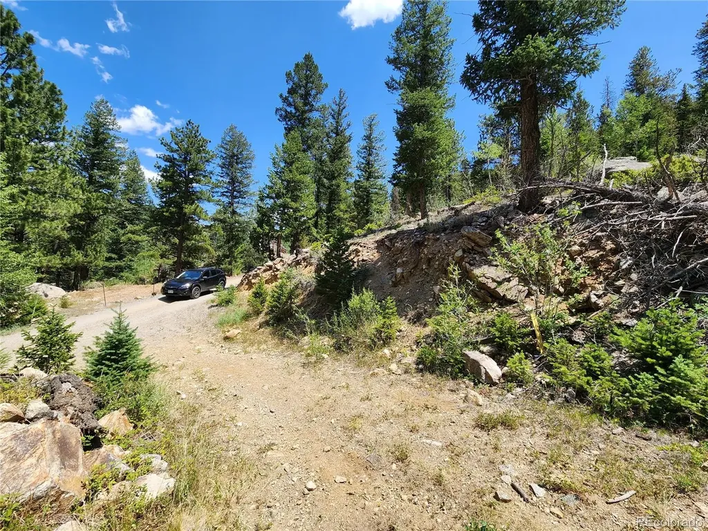256 Capital Road Dumont CO 80436