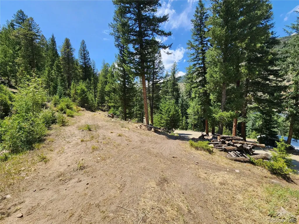 256 Capital Road Dumont CO 80436