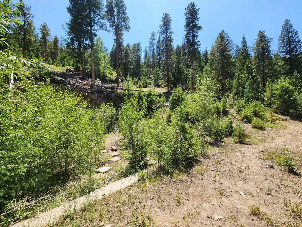 256 Capital Road Dumont CO 80436