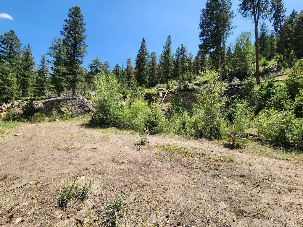 256 Capital Road Dumont CO 80436