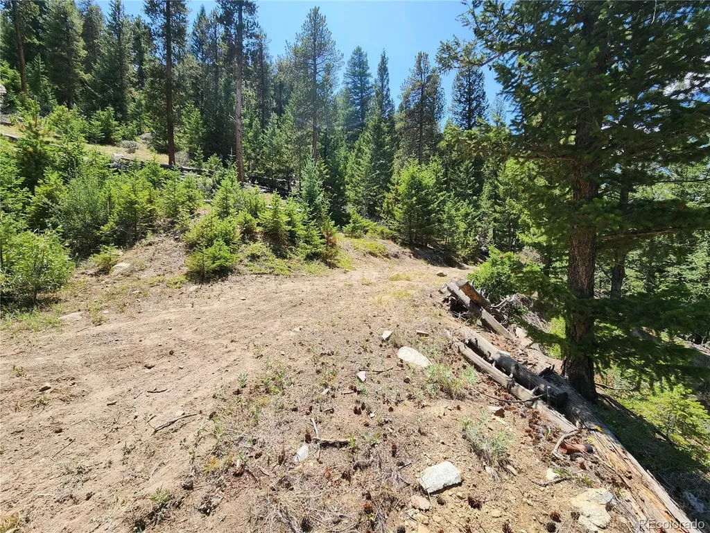 256 Capital Road Dumont CO 80436