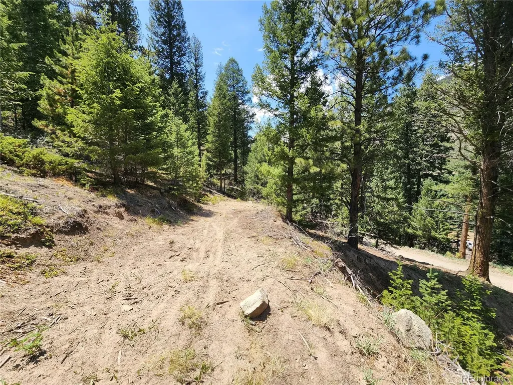 256 Capital Road Dumont CO 80436