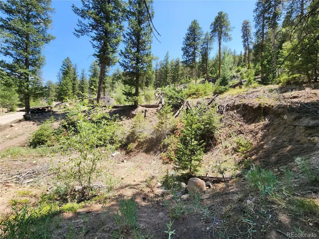 256 Capital Road Dumont CO 80436
