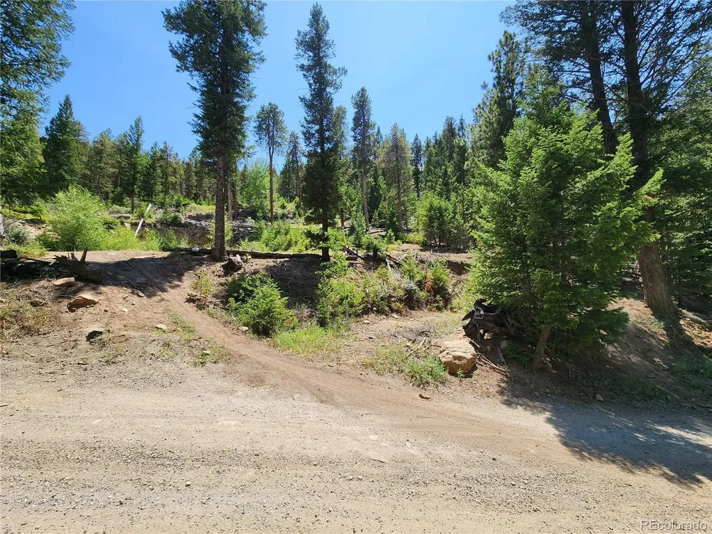 256 Capital Road Dumont CO 80436