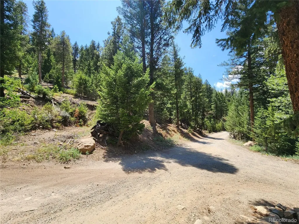 256 Capital Road Dumont CO 80436