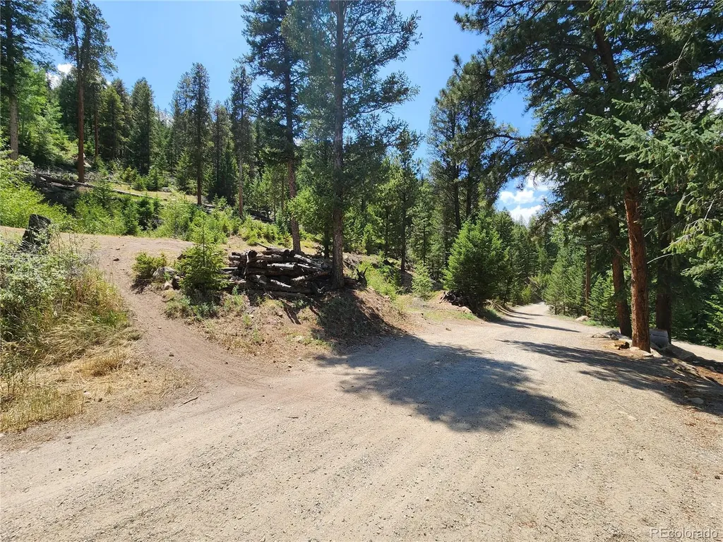 256 Capital Road Dumont CO 80436