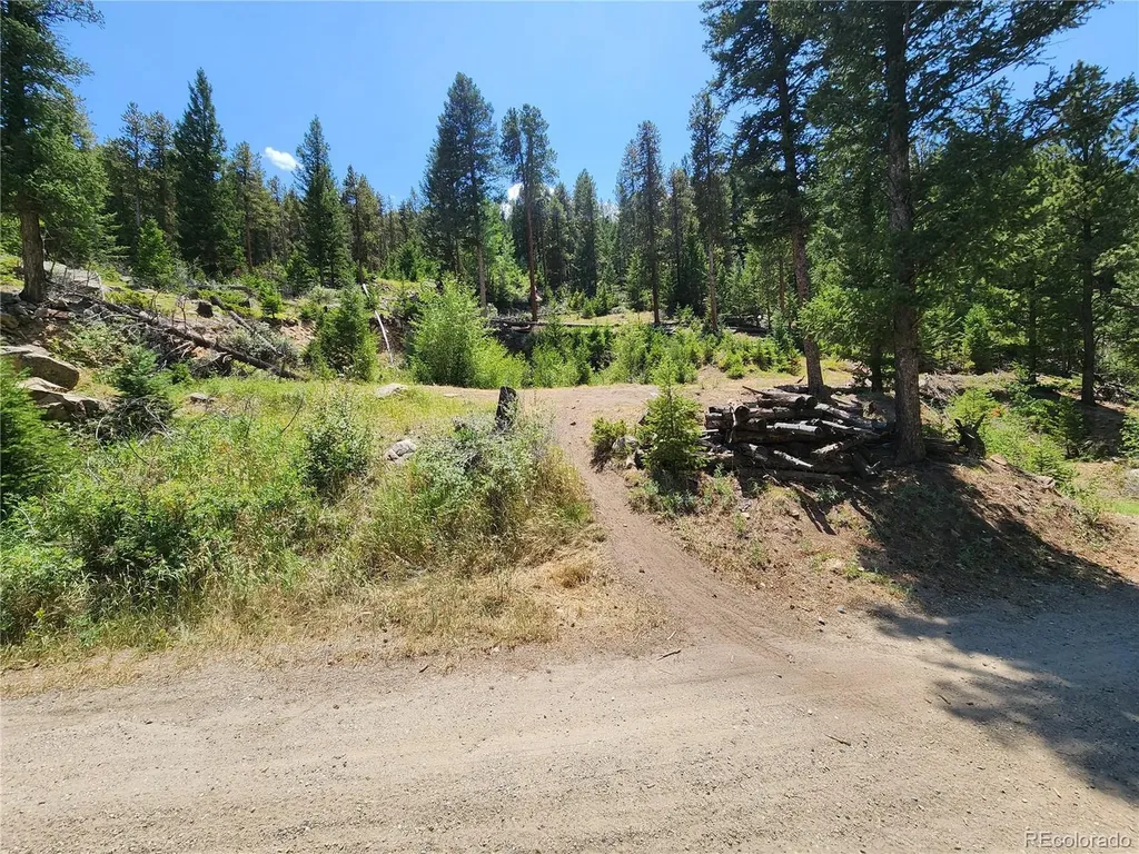 256 Capital Road Dumont CO 80436