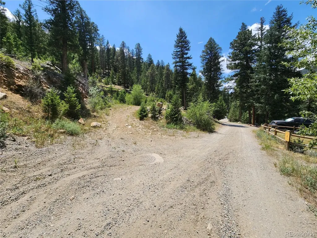 256 Capital Road Dumont CO 80436