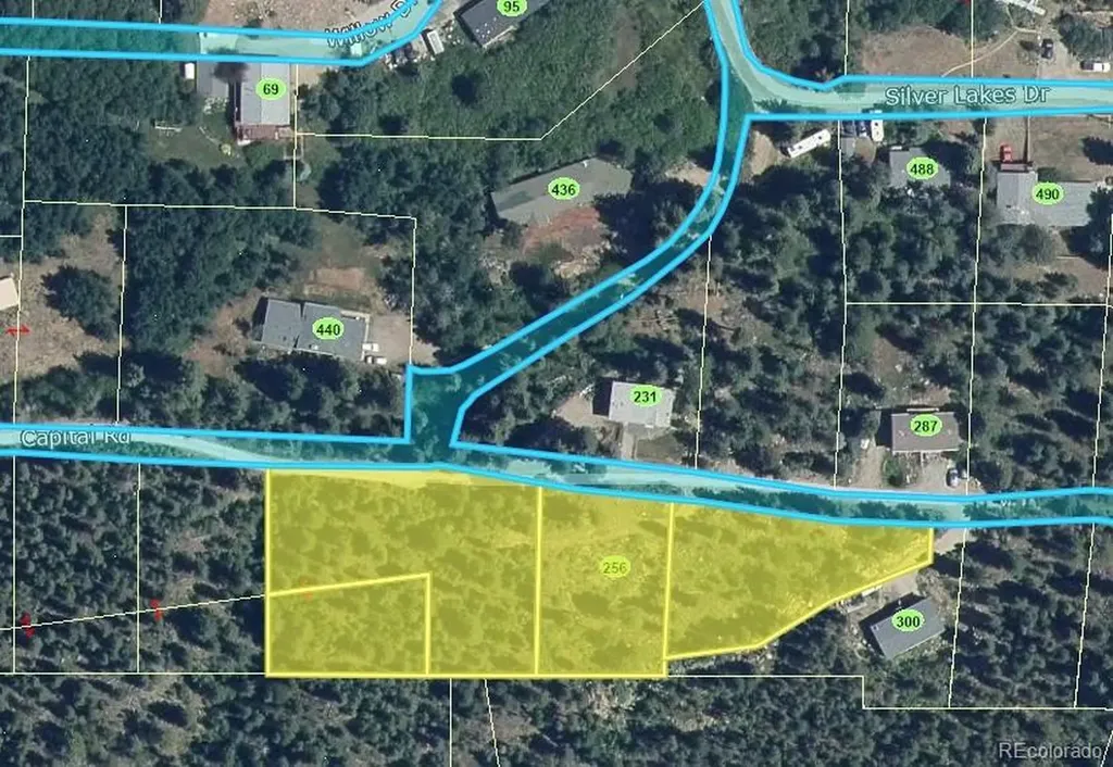 256 Capital Road Dumont CO 80436