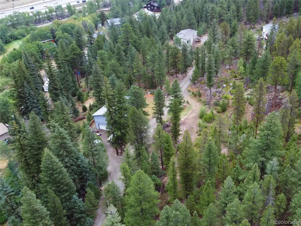 256 Capital Road Dumont CO 80436
