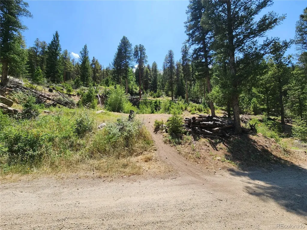 256 Capital Road Dumont CO 80436