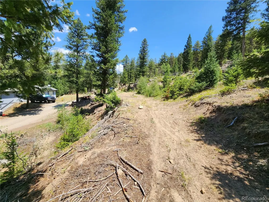 256 Capital Road Dumont CO 80436