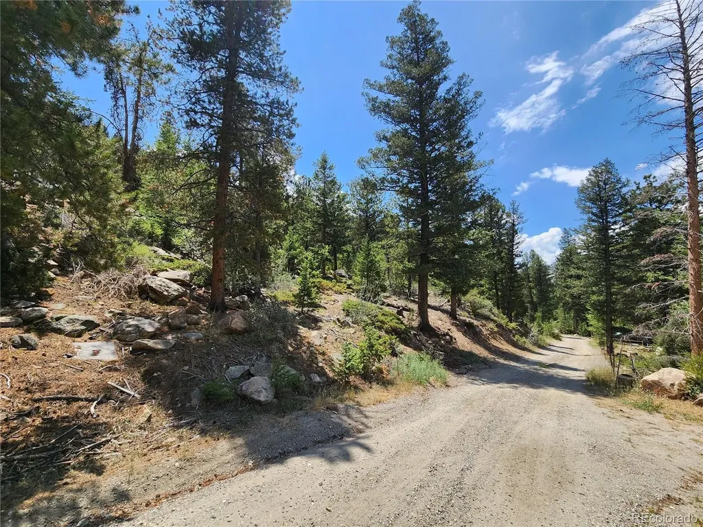 256 Capital Road Dumont CO 80436
