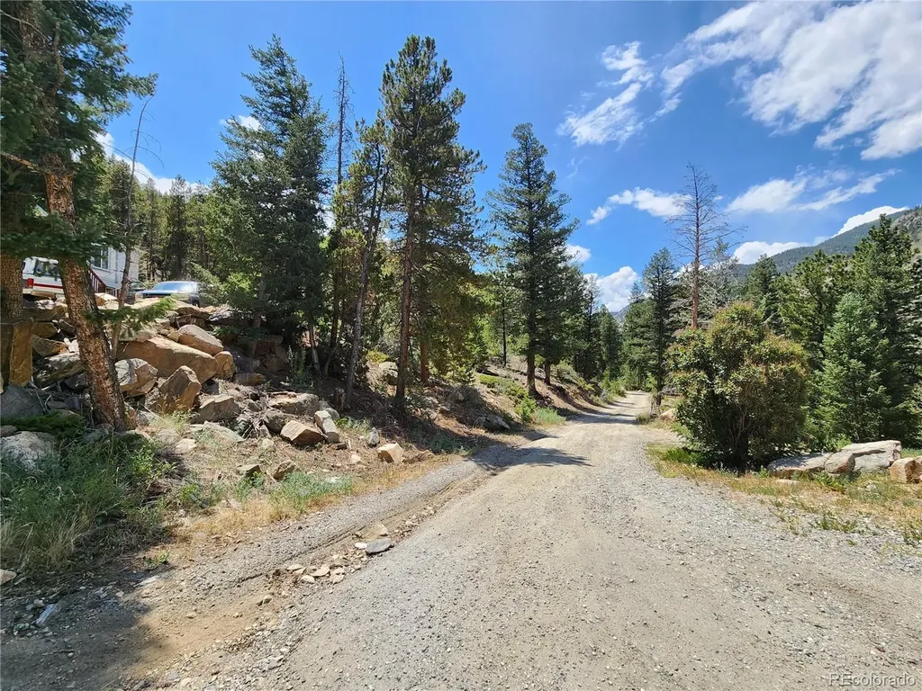 256 Capital Road Dumont CO 80436