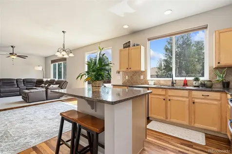 2055 Vineyard Court Windsor CO 80550