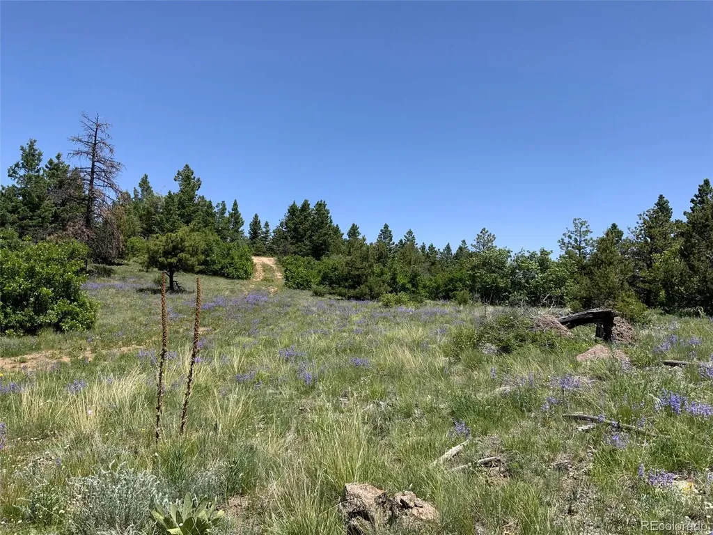 000 Peak View Ridge Canon City CO 81212