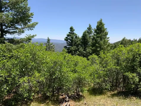 000 Peak View Ridge Canon City CO 81212