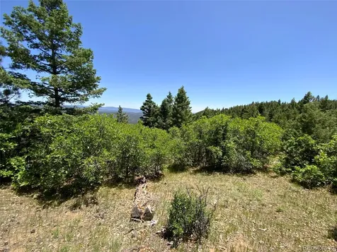 000 Peak View Ridge Canon City CO 81212