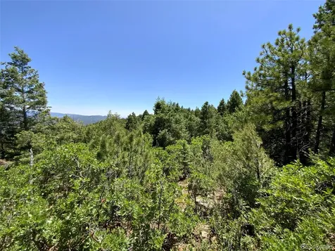 000 Peak View Ridge Canon City CO 81212