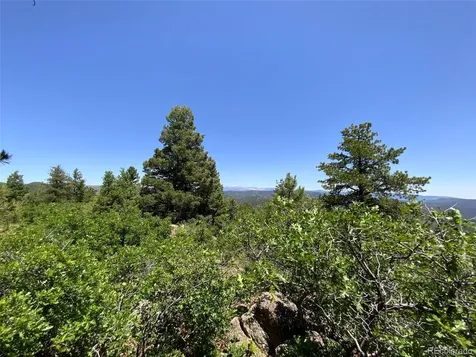 000 Peak View Ridge Canon City CO 81212