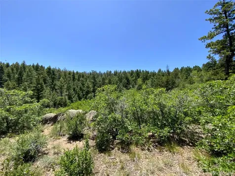 000 Peak View Ridge Canon City CO 81212