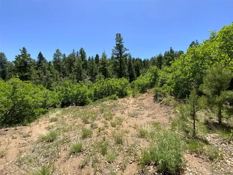 000 Peak View Ridge Canon City CO 81212
