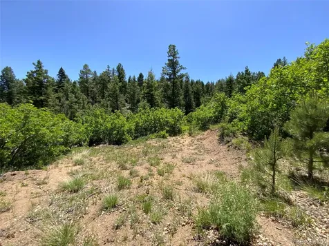 000 Peak View Ridge Canon City CO 81212