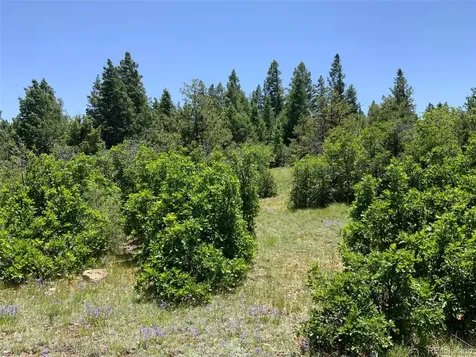 000 Peak View Ridge Canon City CO 81212