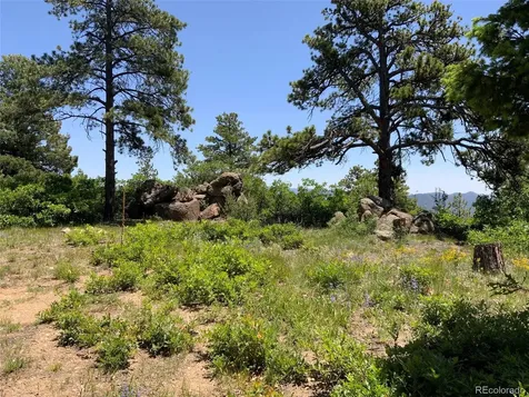 000 Peak View Ridge Canon City CO 81212