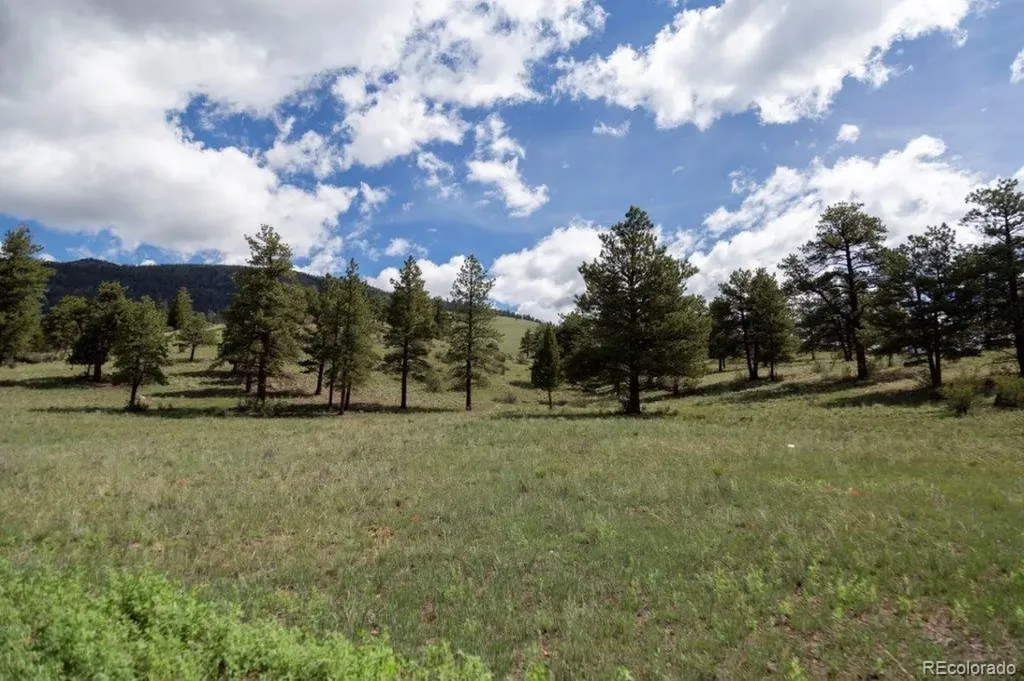 780 Cliff View Drive Creede CO 81130