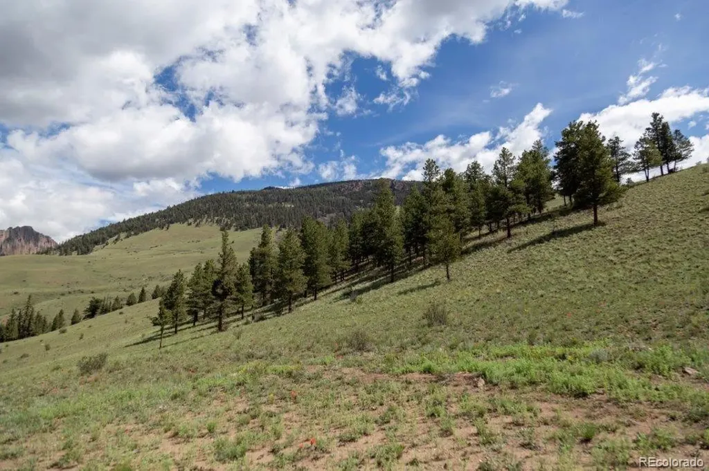 780 Cliff View Drive Creede CO 81130