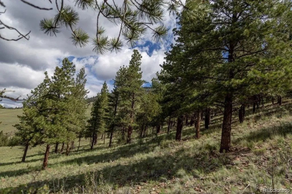 780 Cliff View Drive Creede CO 81130