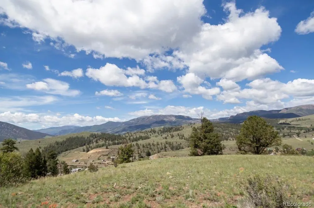 780 Cliff View Drive Creede CO 81130