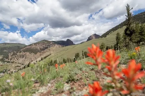 780 Cliff View Drive Creede CO 81130