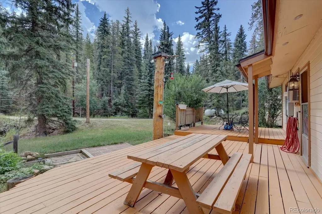 8226 S Brook Forest Road Evergreen CO 80439