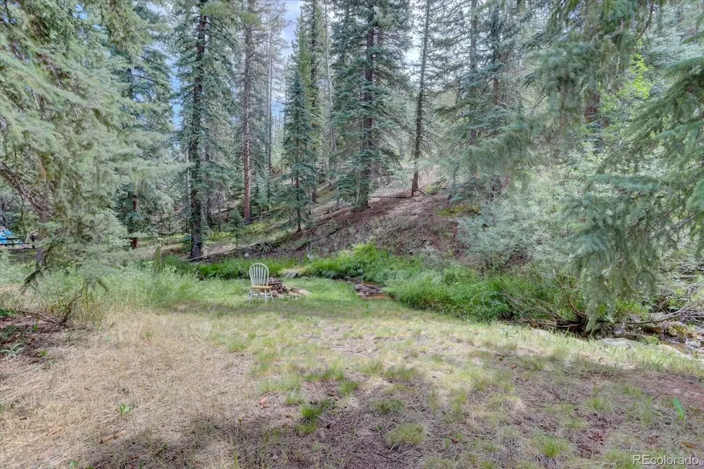 8226 S Brook Forest Road Evergreen CO 80439