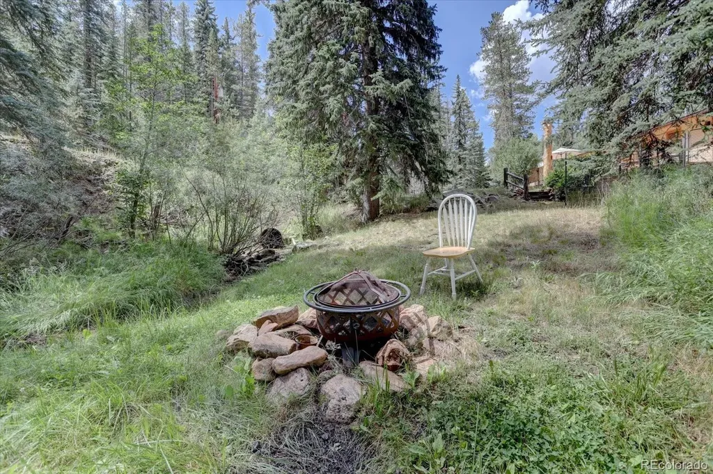 8226 S Brook Forest Road Evergreen CO 80439