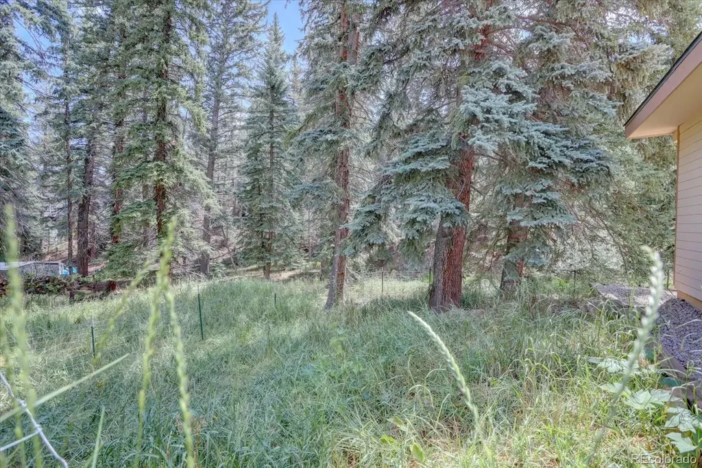 8226 S Brook Forest Road Evergreen CO 80439