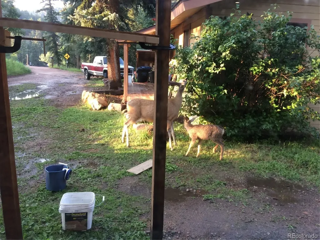 8226 S Brook Forest Road Evergreen CO 80439