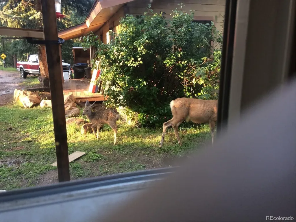 8226 S Brook Forest Road Evergreen CO 80439
