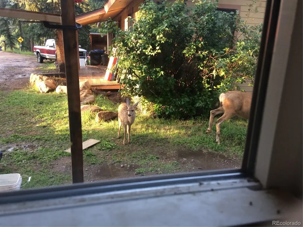 8226 S Brook Forest Road Evergreen CO 80439