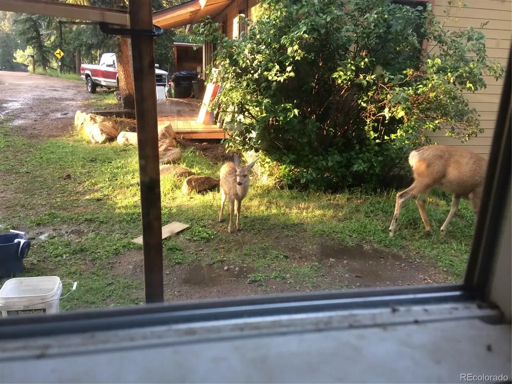 8226 S Brook Forest Road Evergreen CO 80439