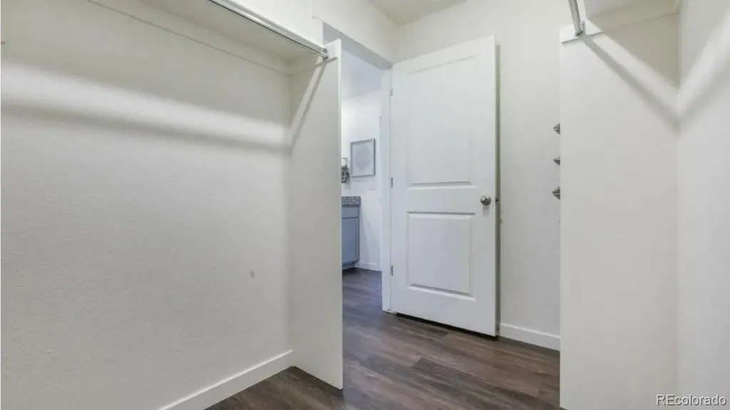 5740 Gelbray Place Windsor CO 80528