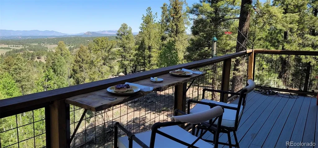 87 Bonanza Circle Florissant CO 80816