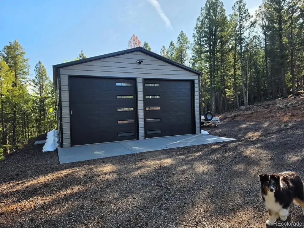 87 Bonanza Circle Florissant CO 80816