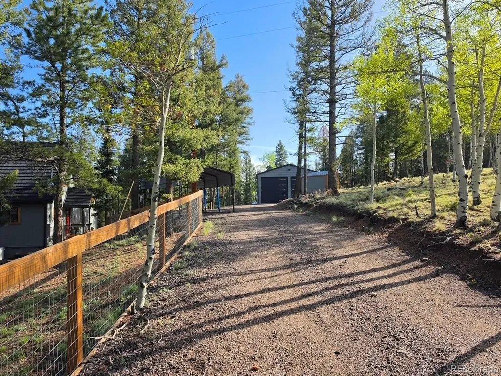 87 Bonanza Circle Florissant CO 80816