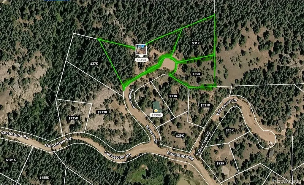 87 Bonanza Circle Florissant CO 80816