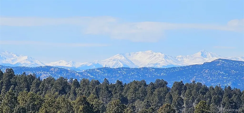 87 Bonanza Circle Florissant CO 80816