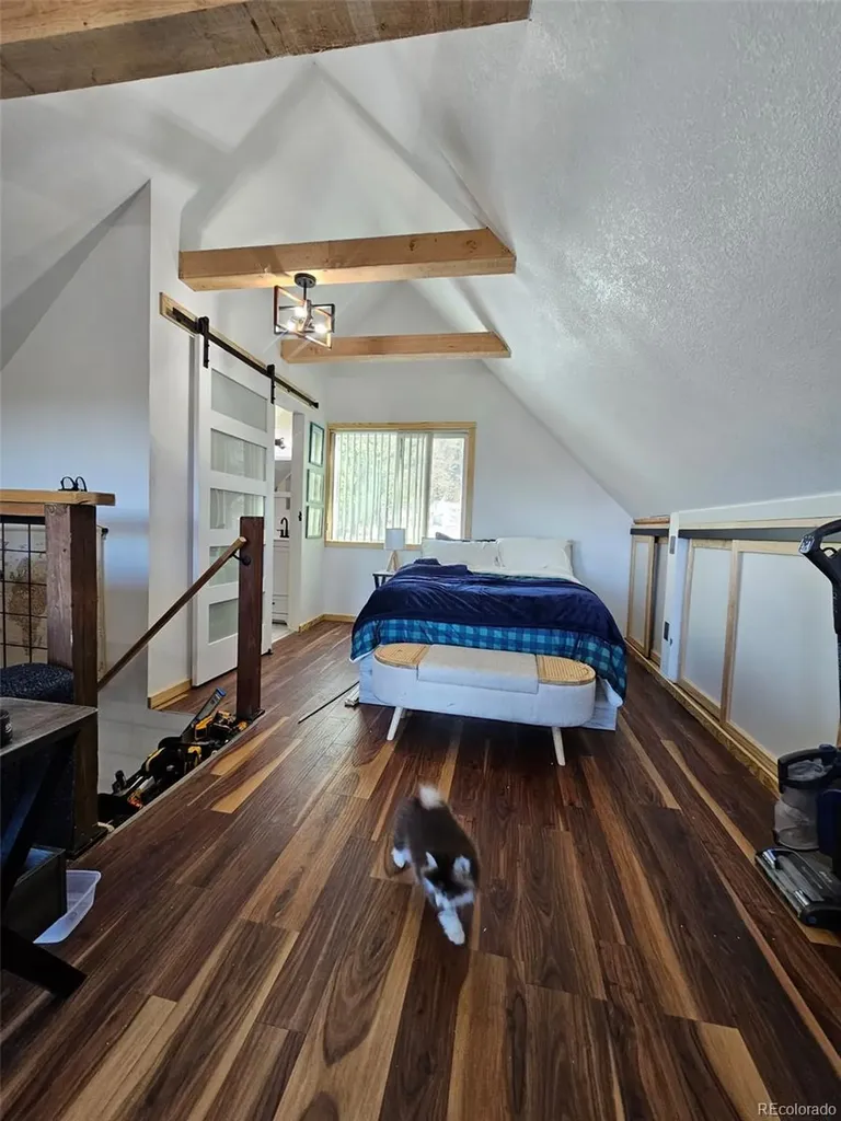87 Bonanza Circle Florissant CO 80816